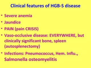 Clinical features of HGB-S disease 
• Severe anemia 
• Jaundice 
• PAIN (pain CRISIS) 
• Vaso-occlusive disease: EVERYWHERE, but 
clinically significant bone, spleen 
(autosplenectomy) 
• Infections: Pneumococcus, Hem. Influ., 
Salmonella osteomyelitis 
 