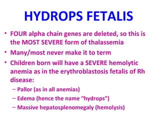 HYDROPS FETALIS 
• FOUR alpha chain genes are deleted, so this is 
the MOST SEVERE form of thalassemia 
• Many/most never make it to term 
• Children born will have a SEVERE hemolytic 
anemia as in the erythroblastosis fetalis of Rh 
disease: 
– Pallor (as in all anemias) 
– Edema (hence the name “hydrops”) 
– Massive hepatosplenomegaly (hemolysis) 
 