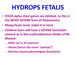 HYDROPS FETALIS
• FOUR alpha chain genes are deleted, so this is
the MOST SEVERE form of thalassemia
• Many/most never make it to term
• Children born will have a SEVERE hemolytic
anemia as in the erythroblastosis fetalis of Rh
disease:
– Pallor (as in all anemias)
– Edema (hence the name “hydrops”)
– Massive hepatosplenomegaly (hemolysis)
 
