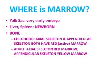WHERE is MARROW?
• Yolk Sac: very early embryo
• Liver, Spleen: NEWBORN
• BONE
– CHILDHOOD: AXIAL SKELETON & APPENDICULAR
SKELETON BOTH HAVE RED (active) MARROW
– ADULT: AXIAL SKELETON RED MARROW,
APPENDICULAR SKELETON YELLOW MARROW
 