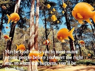 Maybe God wants you to meet many wrong people before you meet the right one, so when this happens, you’ll be thankfull. 