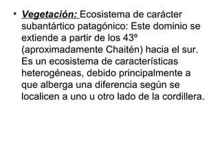 • Vegetación: Ecosistema de carácter
subantártico patagónico: Este dominio se
extiende a partir de los 43º
(aproximadamente Chaitén) hacia el sur.
Es un ecosistema de características
heterogéneas, debido principalmente a
que alberga una diferencia según se
localicen a uno u otro lado de la cordillera.
 