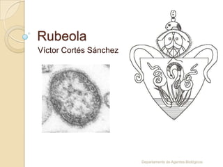 Rubeola
Víctor Cortés Sánchez




                        Departamento de Agentes Biológicos
 