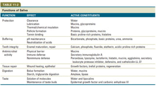 Saliva Types Salivary Glands and its Types and details structures of Salivary Glands ...