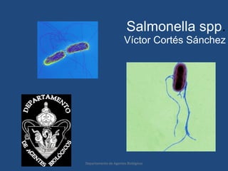 Salmonella spp.
                      Víctor Cortés Sánchez




Departamento de Agentes Biológicos
 