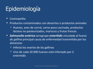 13. Salmonella spp