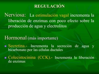 REGULACIÓN

Nerviosa: La estimulación vagal incrementa la
    liberación de enzimas con poco efecto sobre la
    producción de agua y electrolitos

Hormonal (más importante)
   Secretina.- Incrementa la secreción de agua y
    bicarbonato por las células ductales

   Colecistocinina (CCK).- Incrementa la liberación
    de enzimas
 
