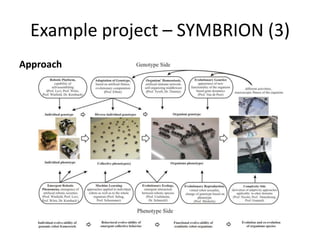 Example project – SYMBRION (3)
Approach
 