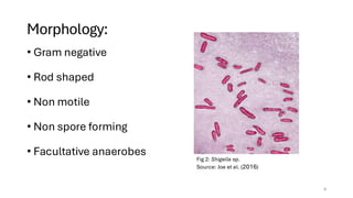 Shigellosis: Causes, Symptoms, Diagnosis, and Treatment | PDF