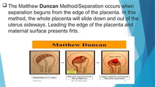 13-STAGES-OF-LABOR.pptx Maternal Child.. | PPTX