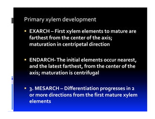 Lesson 13 bio101 (c)Dr. Evangelista | PDF