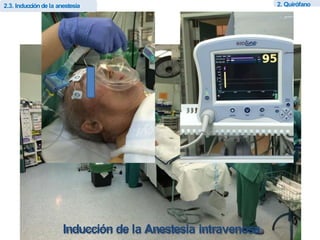 Z Intra Opera periodo intraoperario de la anestesiologia | PPTX
