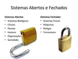 Sistemas Abertos e Fechados
Sistemas Abertos        Sistemas Fechados
• Sistemas Biológicos   • Sistemas Físicos
• Células               • Máquinas
• Plantas               • Relógio
• Homem                 • Termostato
• Organização
• Sociedade
 