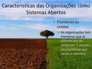 Características das Organizações como
           Sistemas Abertos
                     • Fronteiras ou
                       Limites
                       – As organizações tem
                         fronteiras que as
                         diferenciam do
                         ambiente. É através
                         das fronteiras que
                         existe a interface.
 