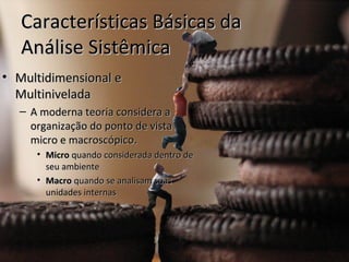 Características Básicas da
   Análise Sistêmica
• Multidimensional e
  Multinivelada
  – A moderna teoria considera a
    organização do ponto de vista
    micro e macroscópico.
     • Micro quando considerada dentro de
       seu ambiente
     • Macro quando se analisam suas
       unidades internas
 