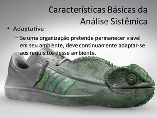 Características Básicas da
                       Análise Sistêmica
• Adaptativa
  – Se uma organização pretende permanecer viável
    em seu ambiente, deve continuamente adaptar-se
    aos requisitos desse ambiente.
 