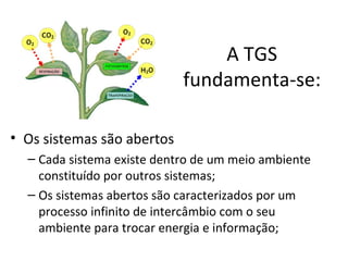 A TGS
                            fundamenta-se:

• Os sistemas são abertos
  – Cada sistema existe dentro de um meio ambiente
    constituído por outros sistemas;
  – Os sistemas abertos são caracterizados por um
    processo infinito de intercâmbio com o seu
    ambiente para trocar energia e informação;
 