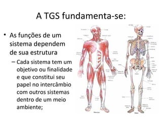 A TGS fundamenta-se:
• As funções de um
  sistema dependem
  de sua estrutura
  – Cada sistema tem um
    objetivo ou finalidade
    e que constitui seu
    papel no intercâmbio
    com outros sistemas
    dentro de um meio
    ambiente;
 