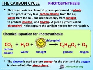 The Carbon Cycle by Tangstar Science | PPTX