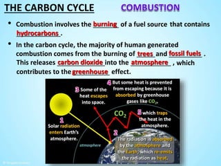 The Carbon Cycle by Tangstar Science | PPTX