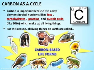 The Carbon Cycle by Tangstar Science | PPTX