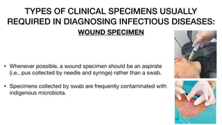 13 - The Diagnosis of Infectious Diseases.pdf