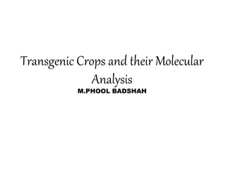Transgenic Crops and their Molecular
Analysis
M.PHOOL BADSHAH
 