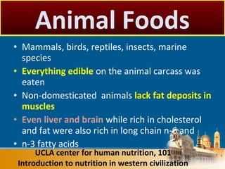 • Mammals, birds, reptiles, insects, marine
species
• Everything edible on the animal carcass was
eaten
• Non-domesticated animals lack fat deposits in
muscles
• Even liver and brain while rich in cholesterol
and fat were also rich in long chain n-6 and
• n-3 fatty acids
UCLA center for human nutrition, 101
Introduction to nutrition in western civilization
Animal Foods
 