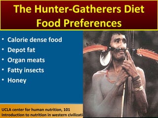 • Calorie dense food
• Depot fat
• Organ meats
• Fatty insects
• Honey
UCLA center for human nutrition, 101
Introduction to nutrition in western civilization
The Hunter-Gatherers Diet
Food Preferences
 