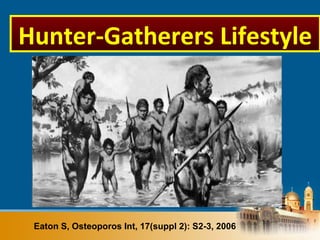Eaton S, Osteoporos Int, 17(suppl 2): S2-3, 2006
Hunter-Gatherers Lifestyle
 