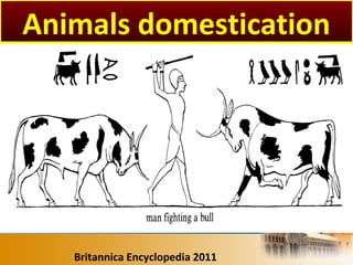 Britannica Encyclopedia 2011
Animals domestication
 
