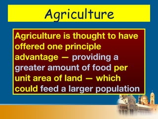 Agriculture
Agriculture is thought to have
offered one principle
advantage — providing a
greater amount of food per
unit area of land — which
could feed a larger population
 