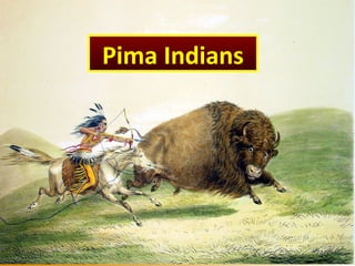 Pima Indians
 