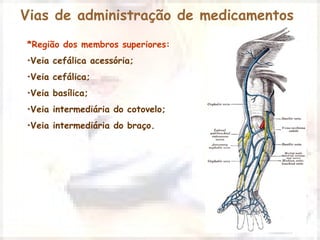 Vias de administração de medicamentos 
*Região dos membros superiores: 
•Veia cefálica acessória; 
•Veia cefálica; 
•Veia basílica; 
•Veia intermediária do cotovelo; 
•Veia intermediária do braço. 
 