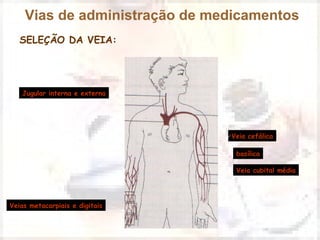 Vias de administração de medicamentos 
SELEÇÃO DA VEIA: 
Jugular interna e externa 
Veia cefálica 
basílica 
Veia cubital média 
Veias metacarpiais e digitais 
 