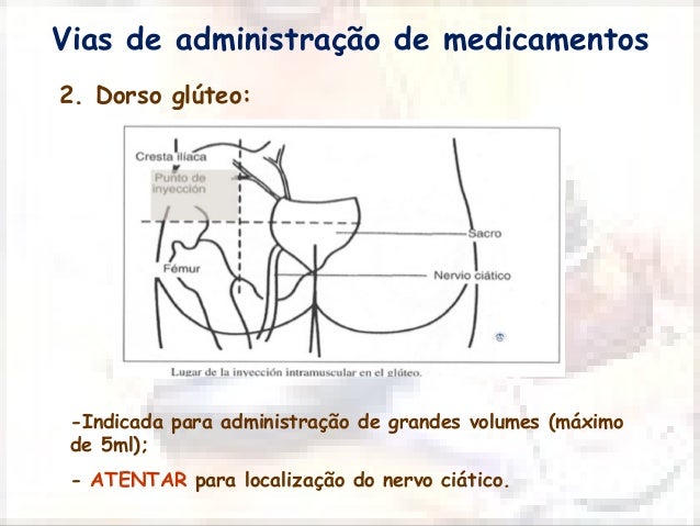 13 vias de administração