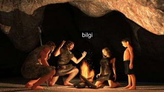 bilgi
 