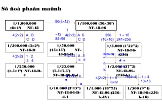 Sô ñoà phaân maûnh
1/1.000.000
(6×40
) NF-48
1/500.000 (3×20
)
NF-48-D
1/250.000
(1,5×10
) NF-48-D-
4
1/100.000 (30×30’)
NF-48-96
1/50.000
(15×15’) NF-
48-96-D
1/25.000
(7,5×7,5’)
NF-48-96-D-d
4(2×2) A B
C D
4(2×2) 1 2
3 4
96(8×12)
1
÷12
85÷96
4(2×2) A B
C D
4(2×2) a b
c d
1/10.000 (3’45”)
NF-48-96-D-
d-4
1/5.000 (1’52”5)
NF-48-96-
(256)
1/2.000 (37”5)
NF-48-96-
(256-k)4(2×2) 1
2
3
4
256 1 ÷ 16
(16×16) 241÷256
9(3×3) a b
c
d e
f
g h
k
1/1.000 (18”75)
NF-48-96-(256-
k-IV)
1/500 (9”4)
NF-48-96-(256-
k-16)
4(2×2) I ÷ II
III÷IV
16(4×4) 1 ÷ 4
13÷16
 