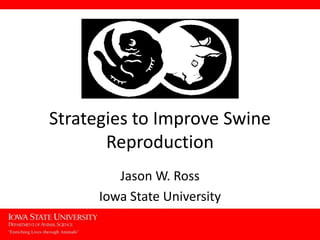 Strategies to Improve Swine
       Reproduction
         Jason W. Ross
      Iowa State University
 