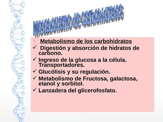 ●
Metabolismo de los carbohidratos
 Digestión y absorción de hidratos de
carbono.
 Ingreso de la glucosa a la célula.
Transportadores.
 Glucólisis y su regulación.
 Metabolismo de Fructosa, galactosa,
etanol y sorbitol.
 Lanzadera del glicerofosfato.
 