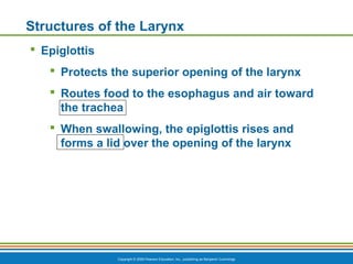 Copyright © 2009 Pearson Education, Inc., publishing as Benjamin Cummings
Structures of the Larynx
 Epiglottis
 Protects the superior opening of the larynx
 Routes food to the esophagus and air toward
the trachea
 When swallowing, the epiglottis rises and
forms a lid over the opening of the larynx
 