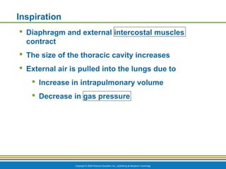 Copyright © 2009 Pearson Education, Inc., publishing as Benjamin Cummings
Inspiration
 Diaphragm and external intercostal muscles
contract
 The size of the thoracic cavity increases
 External air is pulled into the lungs due to
 Increase in intrapulmonary volume
 Decrease in gas pressure
 