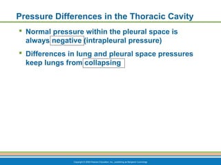 Copyright © 2009 Pearson Education, Inc., publishing as Benjamin Cummings
Pressure Differences in the Thoracic Cavity
 Normal pressure within the pleural space is
always negative (intrapleural pressure)
 Differences in lung and pleural space pressures
keep lungs from collapsing
 