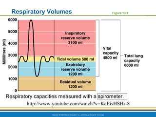 Copyright © 2009 Pearson Education, Inc., publishing as Benjamin Cummings
Respiratory Volumes Figure 13.9
Respiratory capacities measured with a spirometer.
http://www.youtube.com/watch?v=KcEisHSHr-8
 