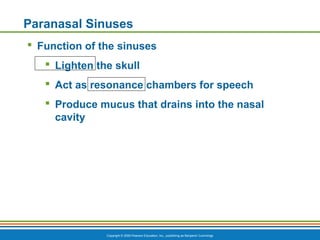 Copyright © 2009 Pearson Education, Inc., publishing as Benjamin Cummings
Paranasal Sinuses
 Function of the sinuses
 Lighten the skull
 Act as resonance chambers for speech
 Produce mucus that drains into the nasal
cavity
 