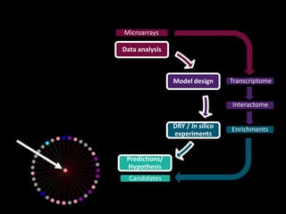 Enrichments
Interactome
Data analysis
Model design
Predictions/
Hypothesis
DRY / In silico
experiments
Microarrays
Transcriptome
Candidates
 