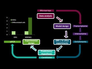 0
1
2
3
4
5
hESCs
Differentiated cells
Enrichments
Interactome
Data analysis
Model design
Experimental
design
Predictions/
Hypothesis
DRY / In silico
experiments
Microarrays
Transcriptome
Candidates
qPCR
 