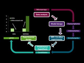 0
1
2
3
4
5
hESCs
Differentiated cells
Enrichments
Interactome
Data analysis
Model design
Experimental
design
Predictions/
Hypothesis
DRY / In silico
experiments
Microarrays
Transcriptome
Candidates
qPCR
 