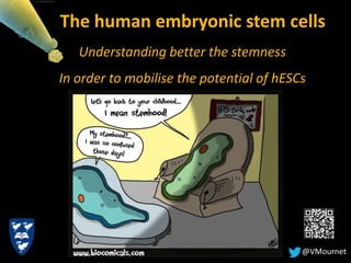 Understanding better the stemness
In order to mobilise the potential of hESCs
The human embryonic stem cells
@VMournet
Alper Uzun, PhD.
 