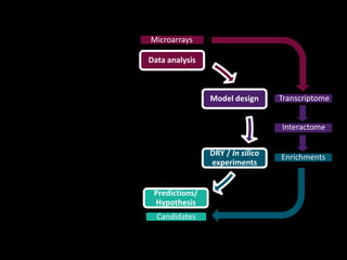 Enrichments
Interactome
Data analysis
Model design
Predictions/
Hypothesis
DRY / In silico
experiments
Microarrays
Transcriptome
Candidates
 